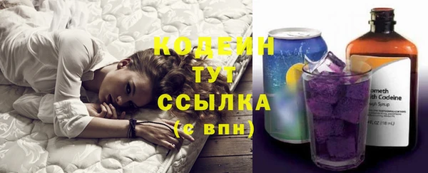 прущие грибы Слюдянка