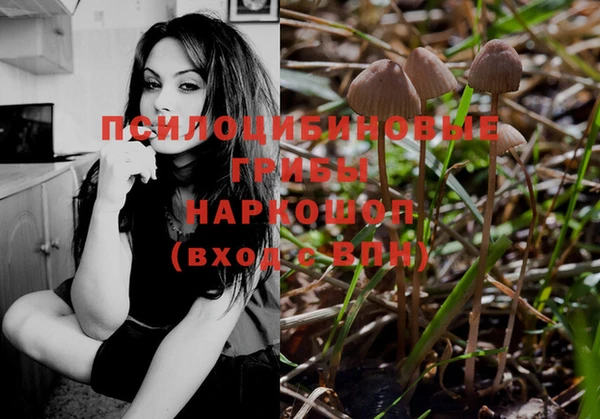 прущие грибы Слюдянка