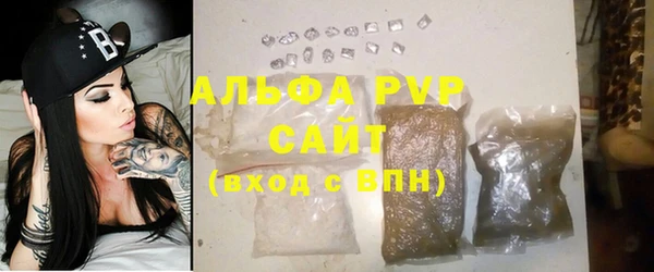 прущие грибы Слюдянка