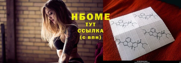прущие грибы Слюдянка