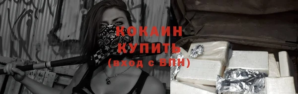 прущие грибы Слюдянка