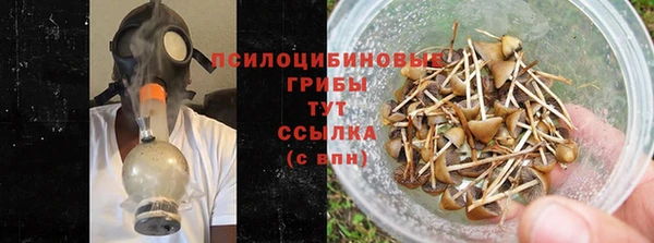 прущие грибы Слюдянка