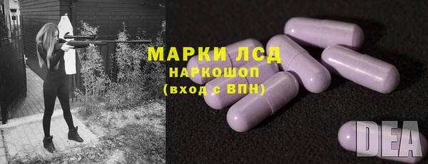 прущие грибы Слюдянка