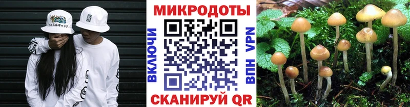 Купить закладки  Сураж  Псилоцибиновые грибы мухоморы 